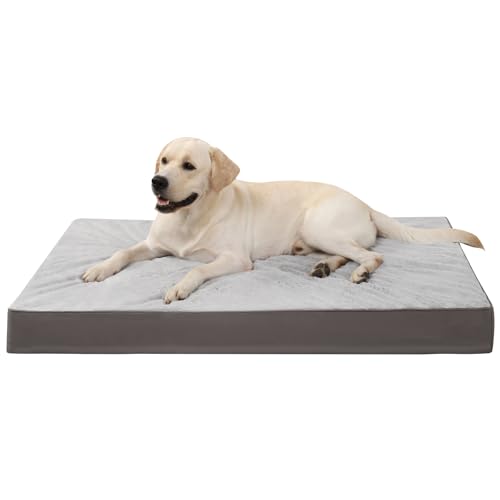 KSIIA Orthopädisches Hundebett XXL, Hundekissen Grosse Hunde Waschbar 121x75cm, Hundebetten mit...