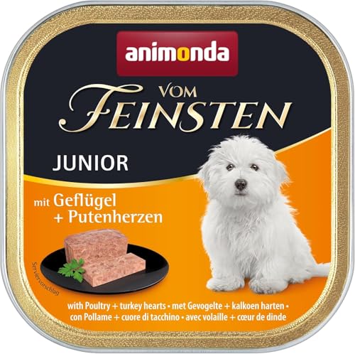 animonda Vom Feinsten Junior Geflügel + Putenherzen (22 x 150 g), Welpenfutter für wachsende...